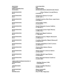 Demanda final imprimir