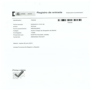 Demanda impugnacion ggaa 2013