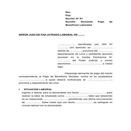 Demanda laboral modelo