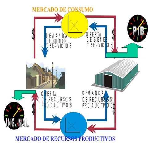 Demanda oferta elasticidad ejemplos