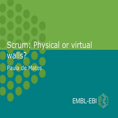 Scrum: Physical or Virtual