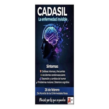 Comprehensive Overview of CADASIL, CARASIL, and Post-Stroke Cognitive ...