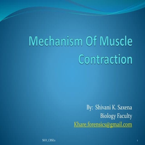 Contraction of muscles class 11 CBSE