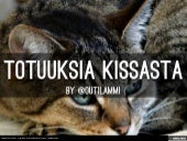 Blogipostauksen testiesitys