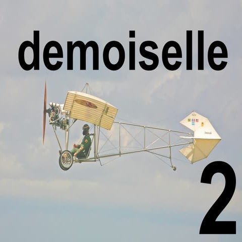 IV Workshop Demoiselle