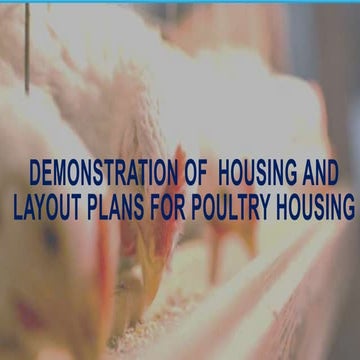 Demonstration of  housing and layout plans for poultry [autosaved]