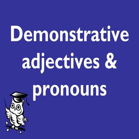 Demonstrative adjectives and pronouns
