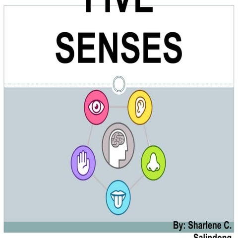 FIVE SENSES what are they and why do we have them | PPTX