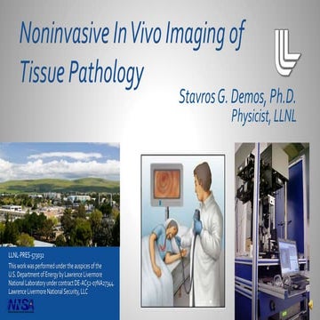 Noninvasive in vivo imaging of Tissue Pathology by Stavros G. Demos, Ph.D., L...