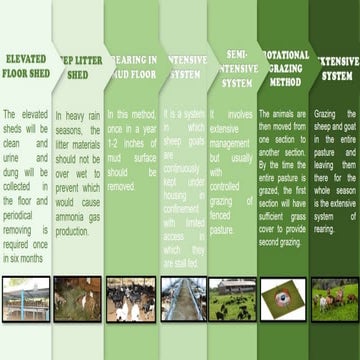 different system of goat rearing powerpoint presentation | PPTX