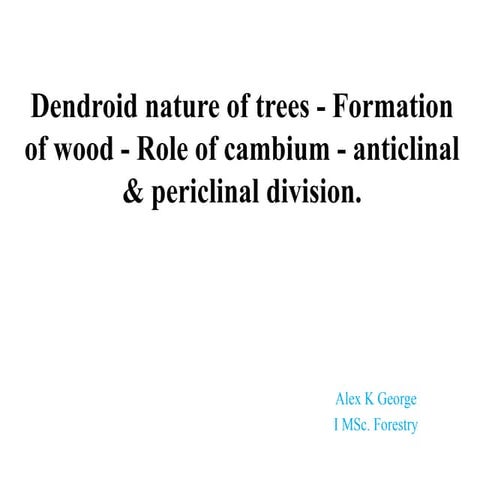 Dendroid nature of trees   formation of wood - role of cambium - anticlinal & periclinal division.