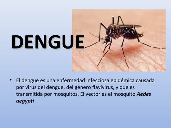 Dengue PresentacióN | PPT