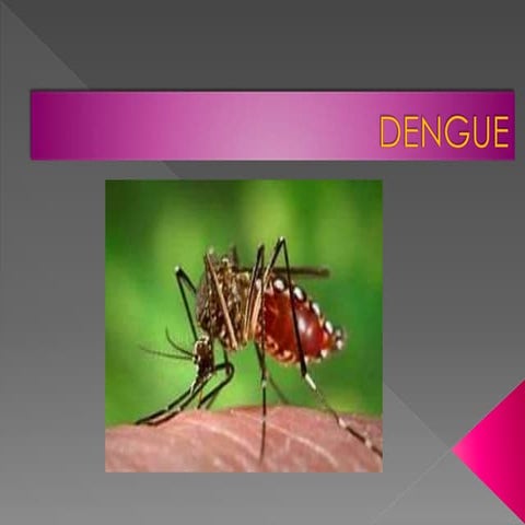 PPT. DENGUE Y LA SITUACIÓN ACTUAL EN EL PERÚ | PPTX