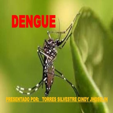 Dengue Pptx Jiouyuhfrvybni0ouytrtyruyopo P Pptx