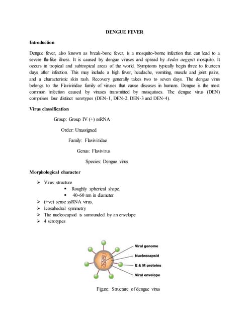 Dengue virus | PPT | Infectious Diseases | Diseases and Conditions