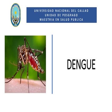 DENGUE SANIDAD SALUD PUBLICA 2024 CURSOS