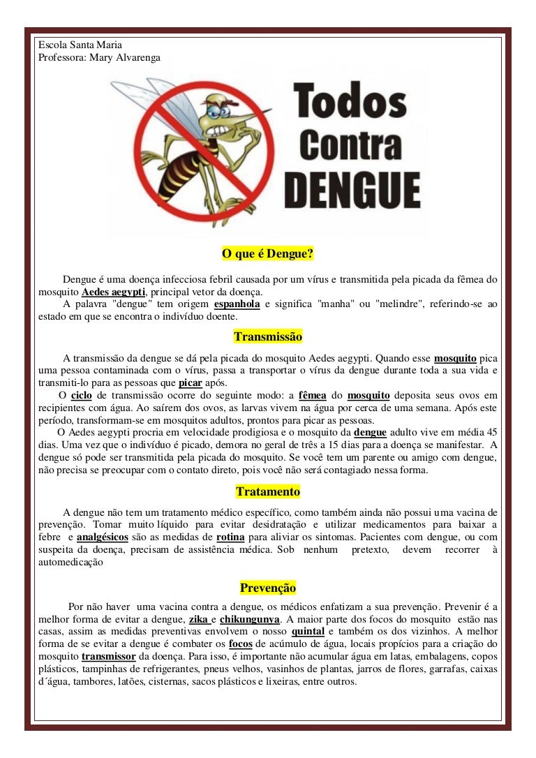 Estratégias Efetivas No Combate A Dengue E Outras Epidemias Redação