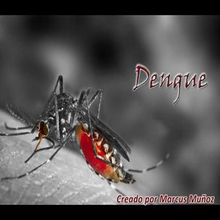 La Enfermedad del Dengue