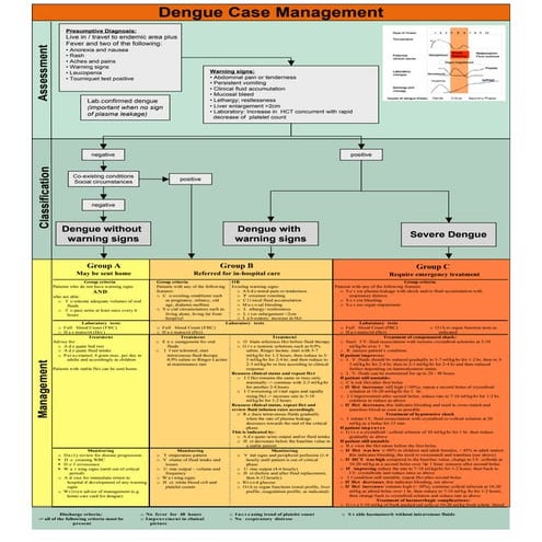Dengue algorithm