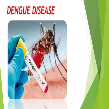 Dengue disease ppt