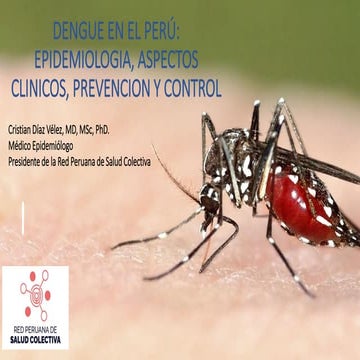 Dengue, epidemiologica, definiciones, prevencion y control 2023