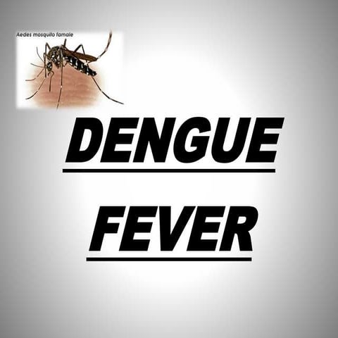 Dengue fever