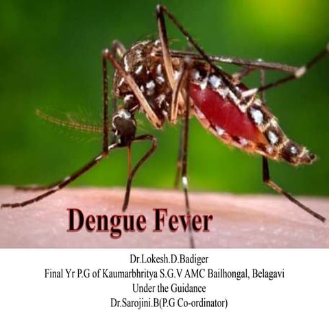 Dengue fever