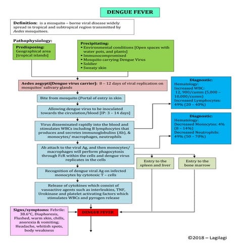 Pathophysiology Dengue fever | PDF