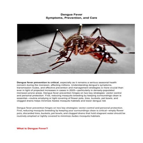 Dengue Fever Symptoms, Prevention, and Care
