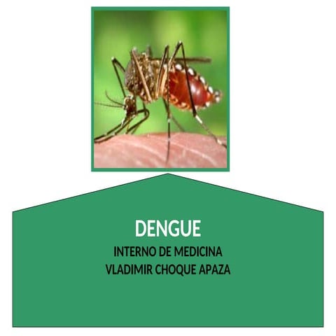Algoritmo Dengue msp_dor_ 2013 | PDF