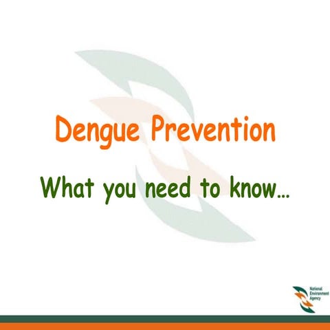 Dengue Prevention - What you need to know…