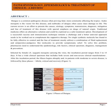 DENGUE REVIEW ARTICLE