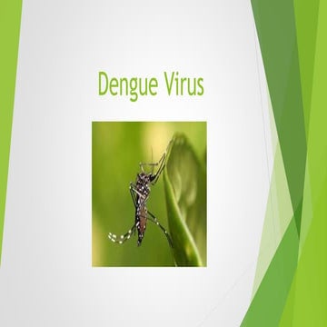 Introduction to Dengue virus 