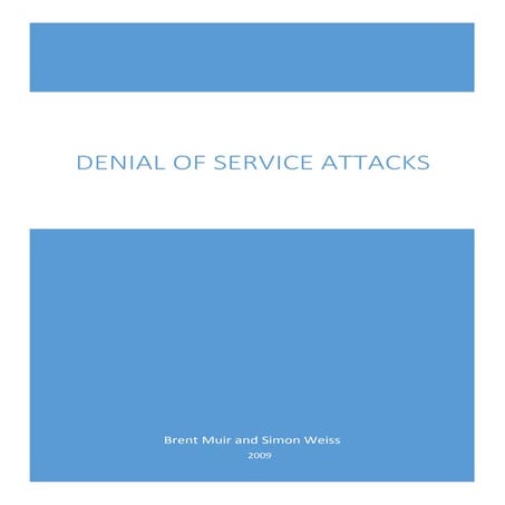 Denial of Service Attacks