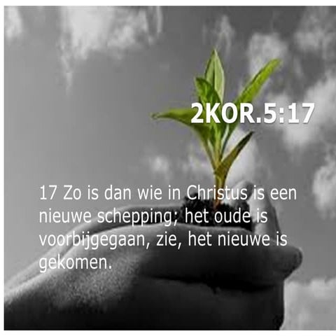 de nieuwescheppinginChristuszijnwij.pptx