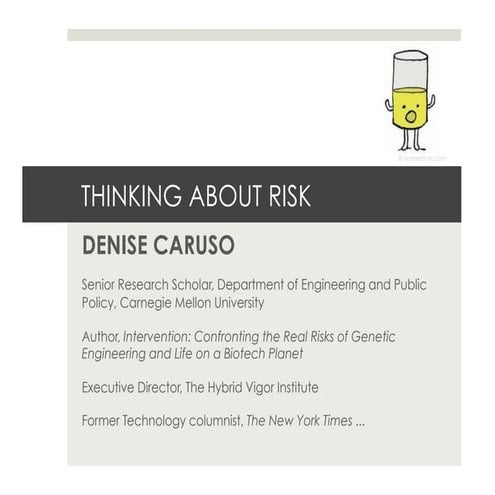 Thinking About Risk - Denise Caruso - PICNIC '10