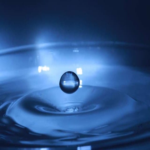 Information, Knowledge and Wisdom in the 21st Century