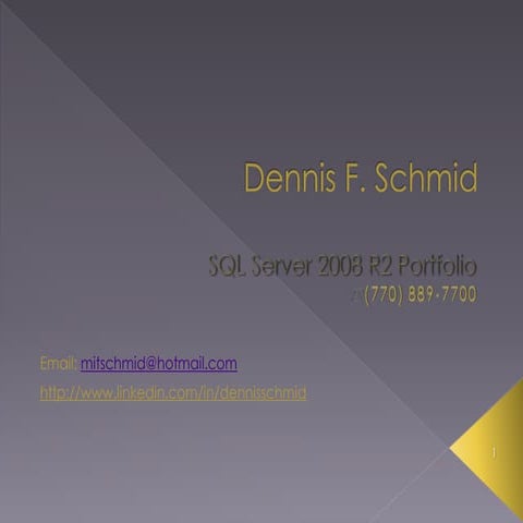 Dennis Schmid Portfolio