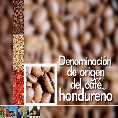 Denominación de origen cafe hondureño 03 2005