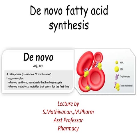 De novo fatty acid synthesis (Palmitic acid)