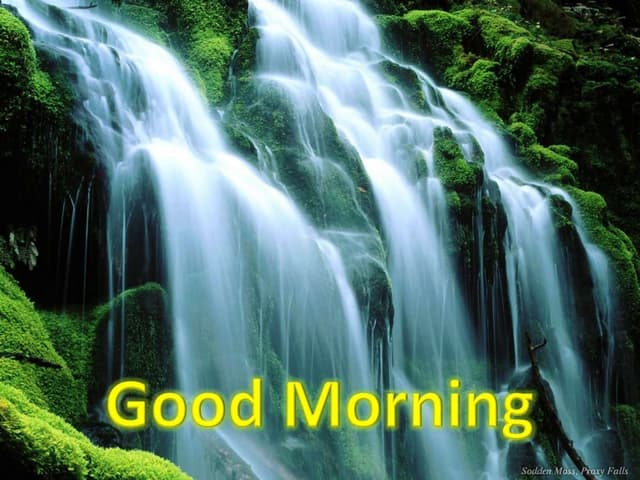 Dental Auxillaries.ppt