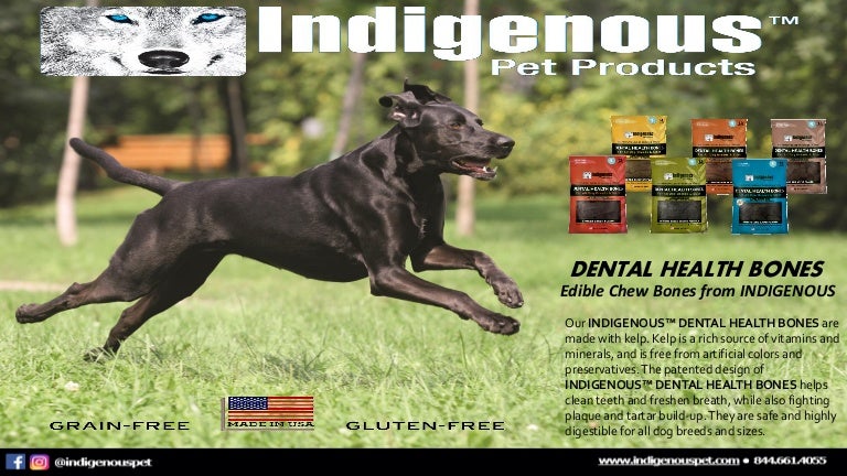 indigenous dental health bones