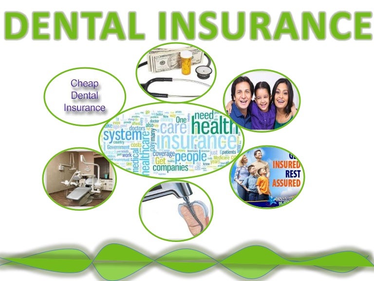 can i just get dental insurance