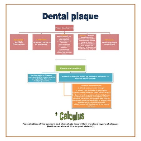 Dental plaque