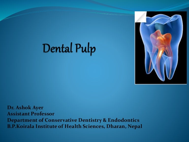 Dental pulp