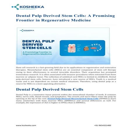 Dental Pulp Derived Stem Cells: A Promising Frontier in Regenerative Medicine
