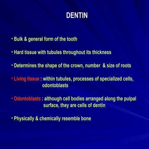Histology of dentin | PPT