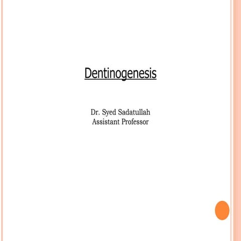 Dentinogenesis