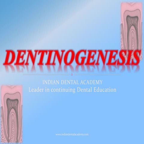 Dentinogenesis/certified fixed orthodontic courses by Indian dental academy