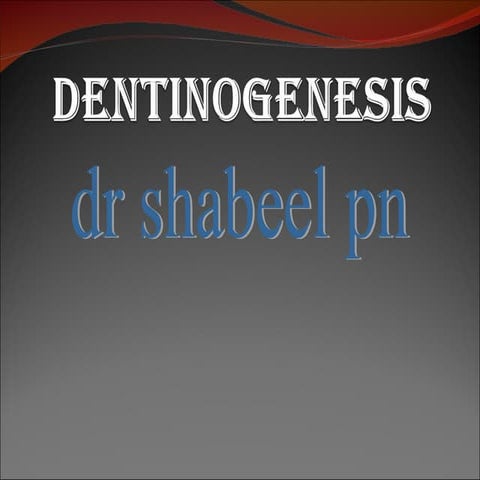 Dentinogenesis